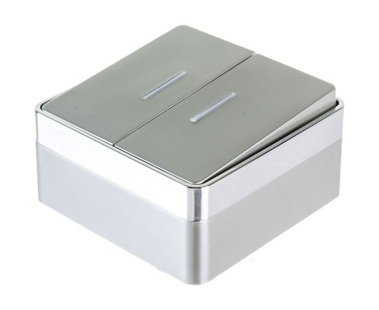 Двухклавишный выключатель с подсветкой WERKEL W5020106 Gallant серебряный a052770 – изображение 3