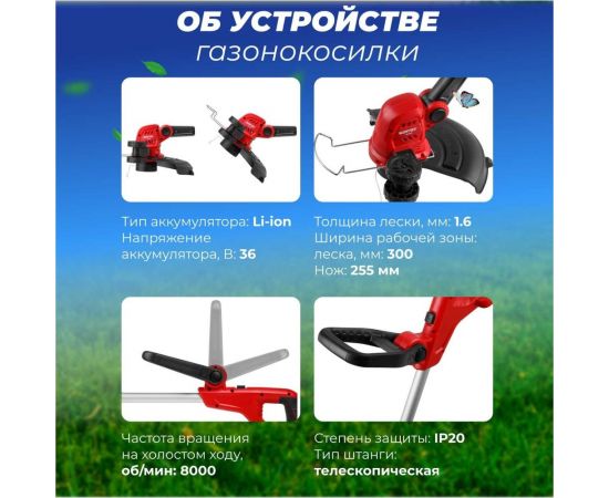 Аккумуляторный триммер WORTEX TB 3018 ALL1 0333237 – изображение 5