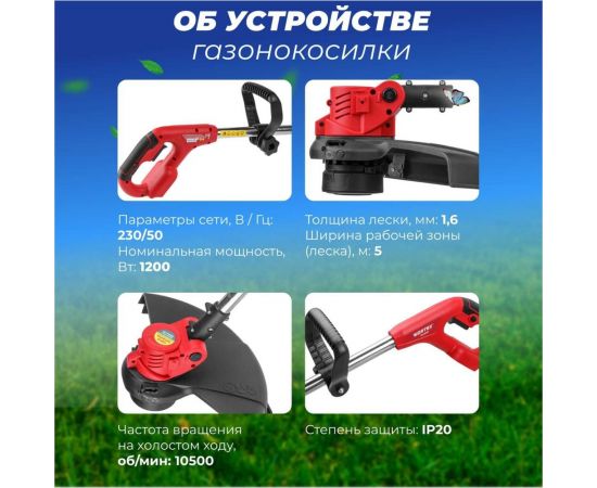 Аккумуляторный триммер WORTEX TB 3018-1 ALL1 0333242 – изображение 5