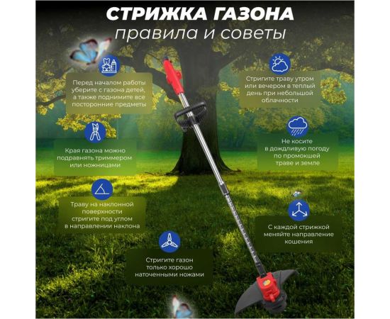 Аккумуляторный триммер WORTEX TB 3018-1 ALL1 0333242 – изображение 7