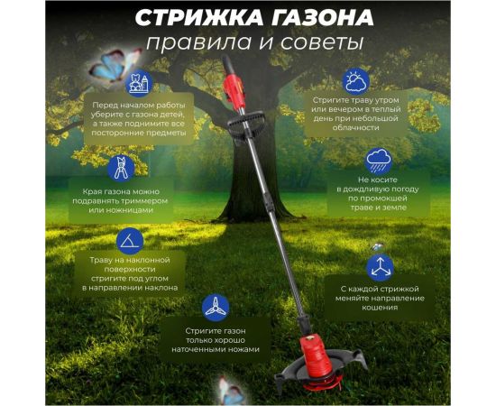 Аккумуляторный триммер WORTEX TB 3018 AT ALL1 0333239 – изображение 7