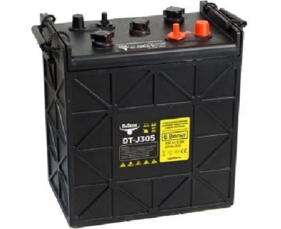 Тяговый WET аккумулятор Rutrike DT-J305 (J305H-AC) 6V215A/H C3 024200 