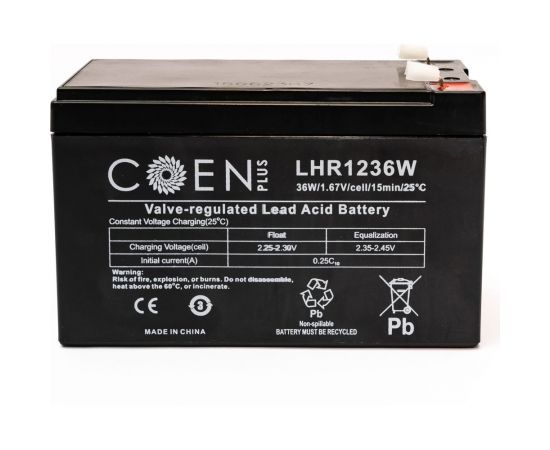 Аккумуляторная батарея (12 В, 9 Ач, 36 Вт) CoEn Plus LHR1236W – изображение 2
