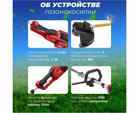 Аккумуляторный триммер WORTEX TB 3036 ALL1 0333290 – изображение 6