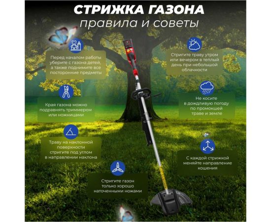 Аккумуляторный триммер WORTEX TB 3036 ALL1 0333290 – изображение 8