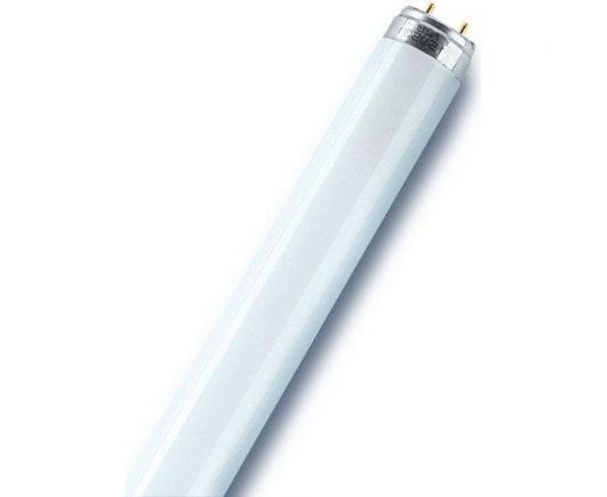 Линейная люминесцентная лампа Osram L 36W/830 25x1 4058075692954 