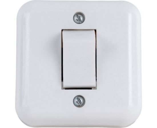 Одноклавишный выключатель ООО Ливны-Электро А1-001 УХЛ 4 белый ВОП 12 