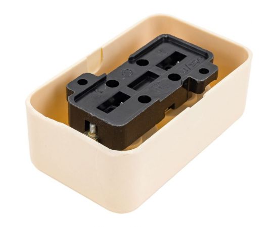 Розетка ООО Ливны-Электро РА 10-015 2-х местная с заземл.контактом, слоновая кость РА 1938 – изображение 4