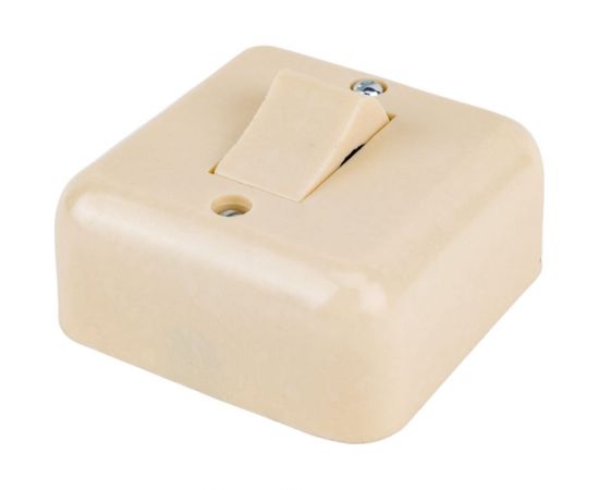 Одноклавишный выключатель ООО Ливны-Электро А1-003 УХЛ 4 слоновая кость ВОП 11 