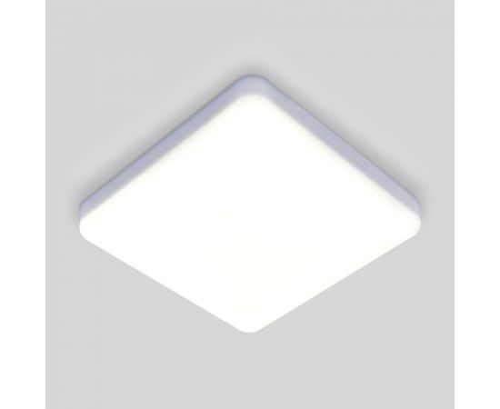 Светодиодный стационарный светильник Elektrostandard DLS043 a047941 