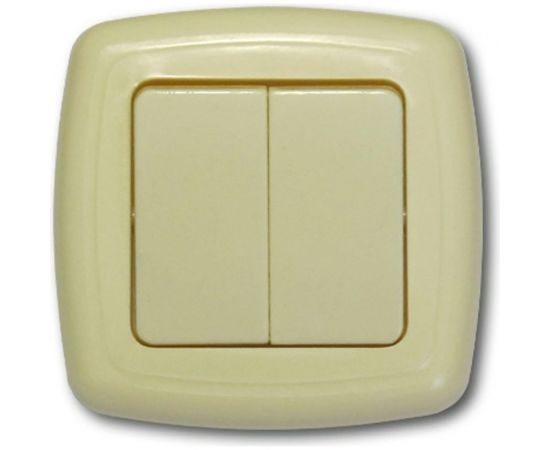 Двухклавишный выключатель ООО Ливны-Электро скрытой установки С2-006 УХЛ 4 слоновая кость ВСП 17 