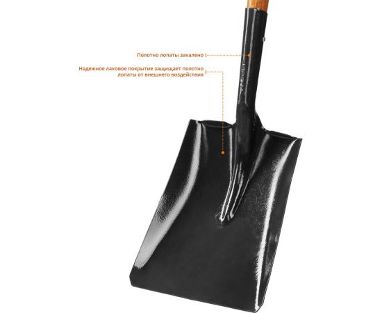 Совковая лопата , деревянный черенок, с рукояткой, Профессионал ЗУБР Профи-10 39363_z02 – изображение 4