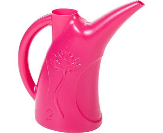 Лейка Радиан Лотос 2 л 4607168313827 