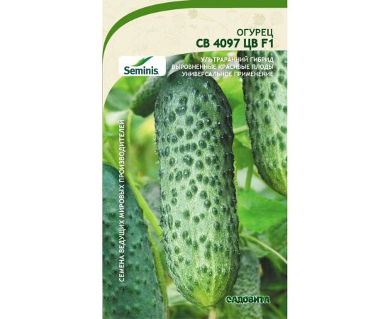 Семена САДОВИТА Огурец СВ 4097 ЦВ F1 5 семечек 00160688 