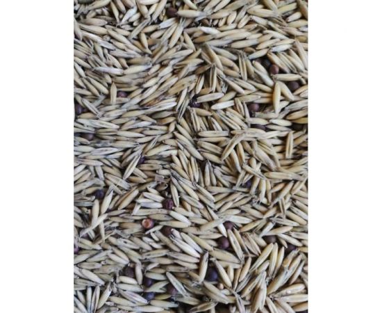 Семена Сила Суздаля Овес Вика 1 кг 4680004063834 – изображение 3