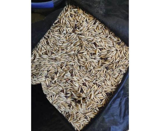 Семена Сила Суздаля Овес Вика 1 кг 4680004063834 – изображение 4