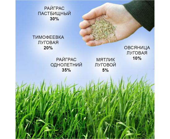 Семена газона Зри в корень Спортивный 0.8 кг 1010026126 – изображение 4
