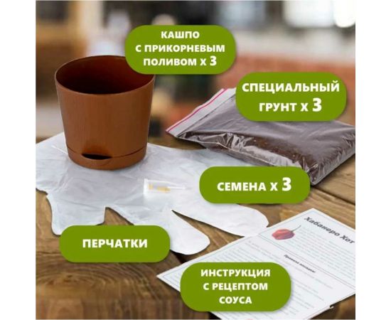 Набор для выращивания растений Plant Republic Три острых перца pr-009 – изображение 5