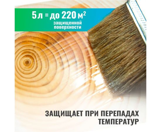 Антисептик для бань и саун PROSEPT SAUNA 5л 004-5 – изображение 5