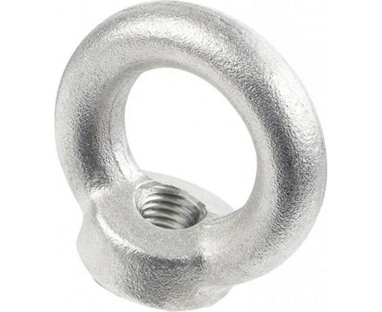 Рым-гайка Невский Крепеж DIN 582, М8 802833 – изображение 2