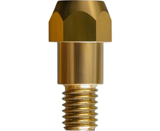 Вставка под наконечник EGO2426-66 (10 шт, M6, 26 мм) для MIG MP 24/240 ПТК 00000027186 