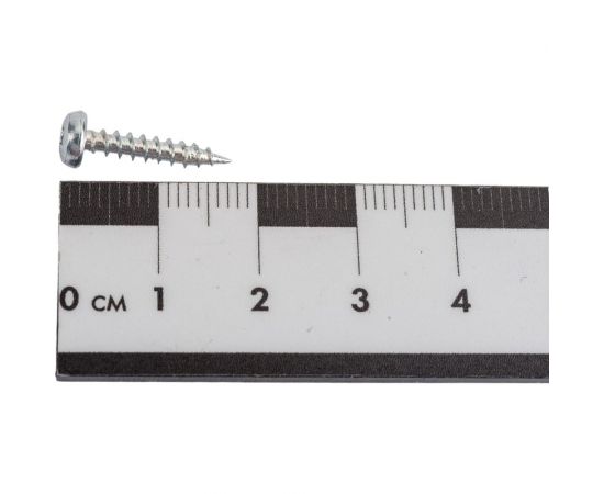 Универсальный шуруп ЕВРОПАРТНЕР multi, полукруглая головка, tx10, zn, 3,0x16 мм, 30 шт. Т6 1493 1 – изображение 4