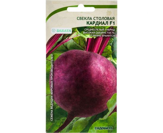 Семена САДОВИТА Свекла Кардиал F1 50 семечек 00156303 – изображение 4