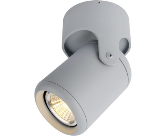 Потолочный светильник Arte Lamp A3316PL-1GY 