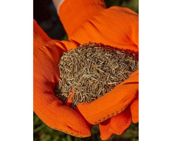 Газонная травосмесь Сила Суздаля Премиум Спорт 3 кг 4680004061229 – изображение 3