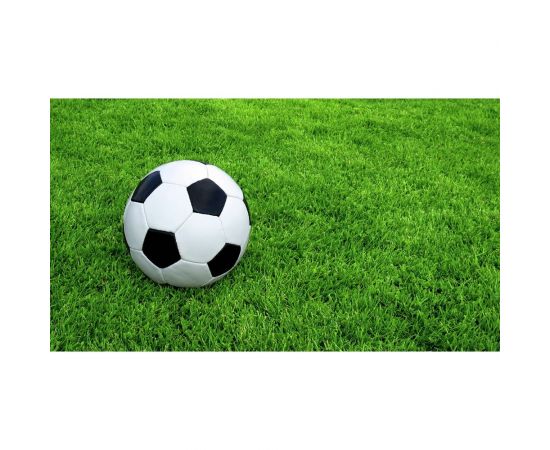 Газонная травосмесь Сила Суздаля Премиум Спорт 3 кг 4680004061229 – изображение 5