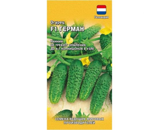 Семена Гавриш Огурец Герман F1 корнишон Голландия 5 шт. 191224112 