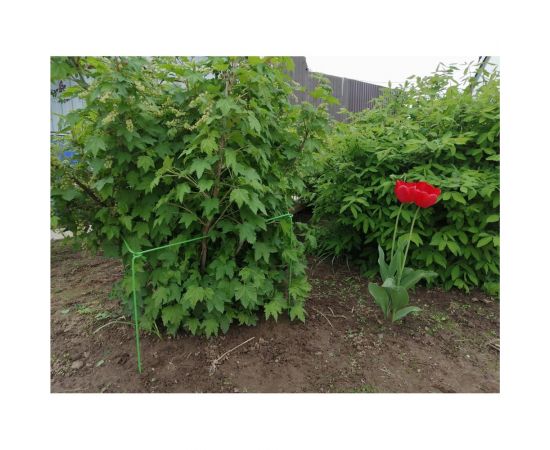 Кустодержатель НАЙДИ малый GKO6018 – изображение 3