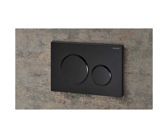 Смывная клавиша Geberit 115.882.16.1 Sigma20 двойной смыв: черный матовый лак УТ005746 – изображение 3
