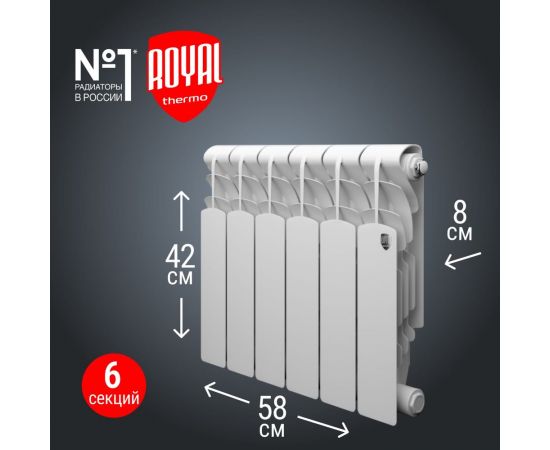 Радиатор Royal Thermo Revolution 350 - 6 секций НС-1070099 – изображение 4