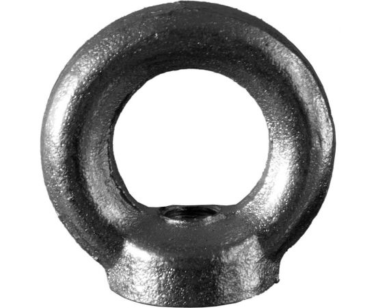 Рым-гайка Невский Крепеж DIN 582, М16 800750 