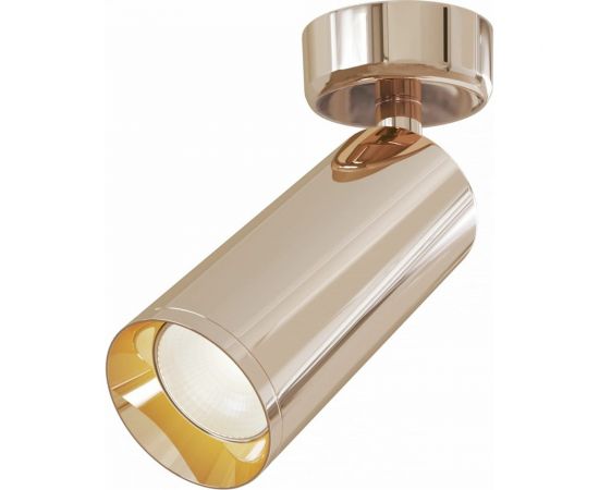 Потолочный светильник MAYTONI Focus C017CW-01RG 