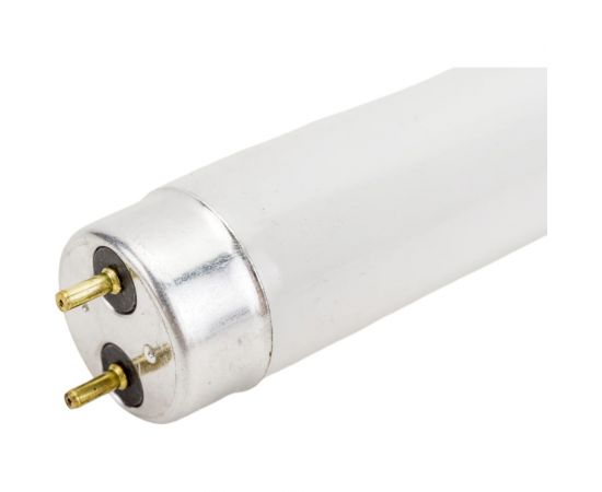 Люминесцентная лампа Camelion FT8-10W/54 Daylight 6500K 10 Ватт 3006 – изображение 3