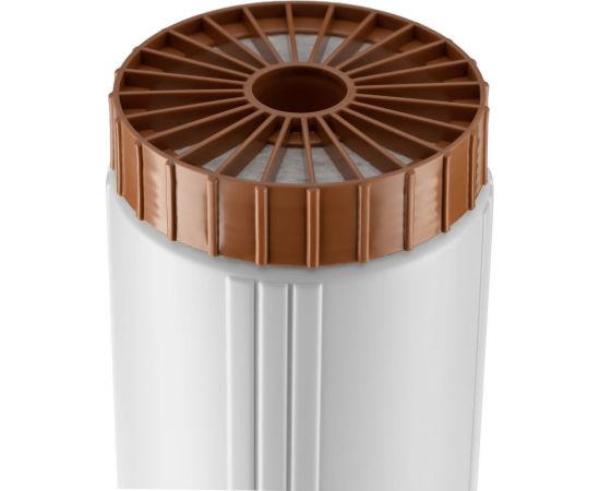 Картридж для обезжелезивания и удаления сероводорода Гейзер RSFE - 20BB 28510 – изображение 5