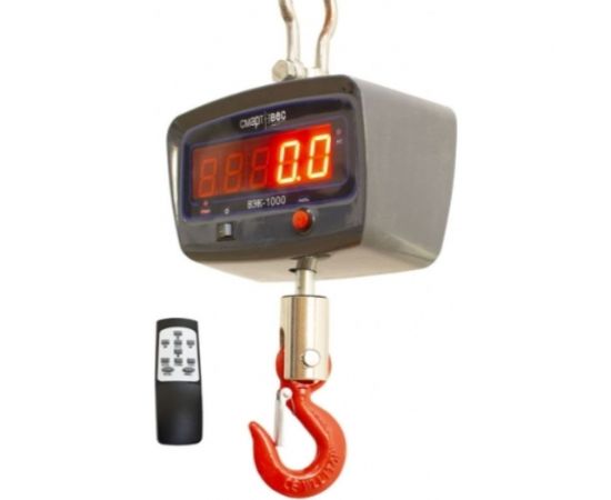 Крановые весы ВЭК-1000 1007 – изображение 2