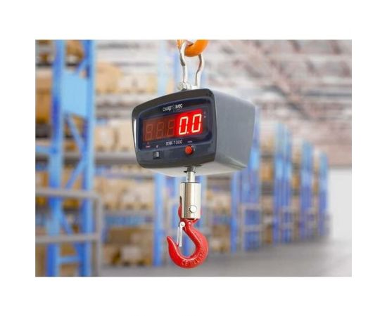 Крановые весы ВЭК-1000 1007 – изображение 3