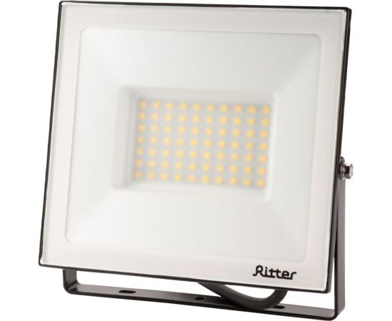 Светодиодный прожектор RITTER серия PROFI 230В 70 Вт 4000К 7000Лм IP65 черный 53418 5 – изображение 4