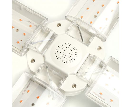 Светодиодная лампа FERON 4-х лепестковая LB-7000 E27 40W красно-синий спектр, 48445 – изображение 6