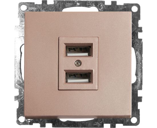 2-местная USB розетка (механизм) STEKKER GLS10-7115-02, 250B, 2,4А, серия Катрин, шампань 39602 