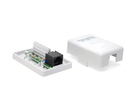 Настенная розетка 1 порт RJ-45, категория 6, белая, TWT-SM1-45/6-WH 
