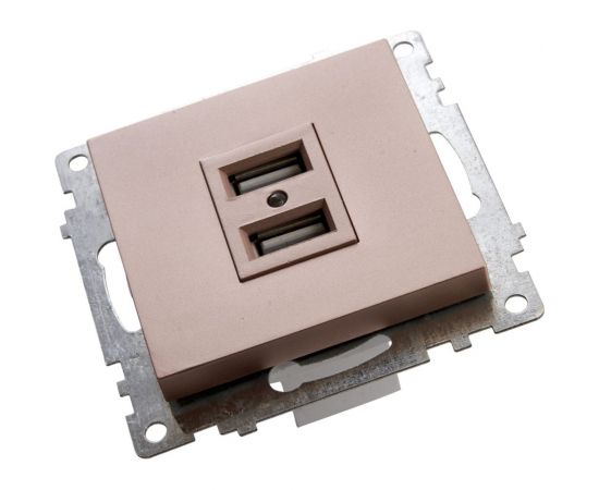 2-местная USB розетка (механизм) STEKKER GLS10-7115-02, 250B, 2,4А, серия Катрин, шампань 39602 – изображение 2
