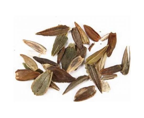 Семена ОКТЯБРИНА ГАНИЧКИНА Цинния Кактусоцветковая смесь 0.3 г 119078 – изображение 3