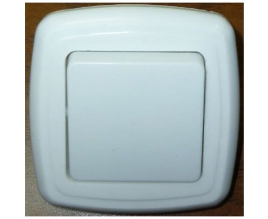 Двухклавишный выключатель ООО Ливны-Электро скрытой установки С2-006 УХЛ 4 белый ВСП 16 