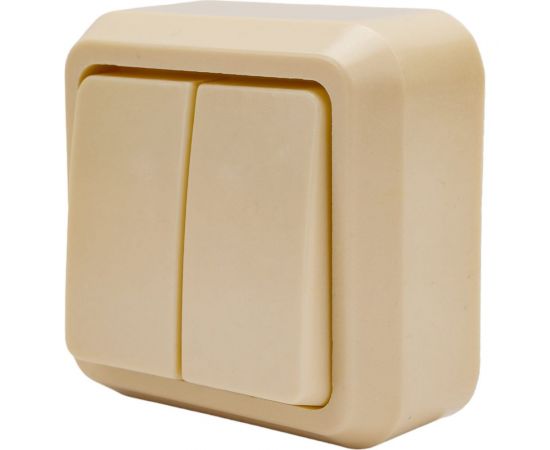 Двухклавишный выключатель ООО Ливны-Электро открытой установки А2-004 УХЛ 4 слоновая кость ВОП 17 – изображение 3