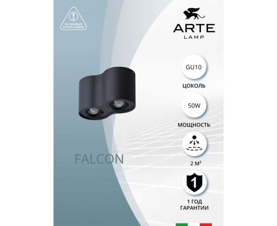 Потолочный светильник Arte Lamp FALCON A5645PL-2BK – изображение 3