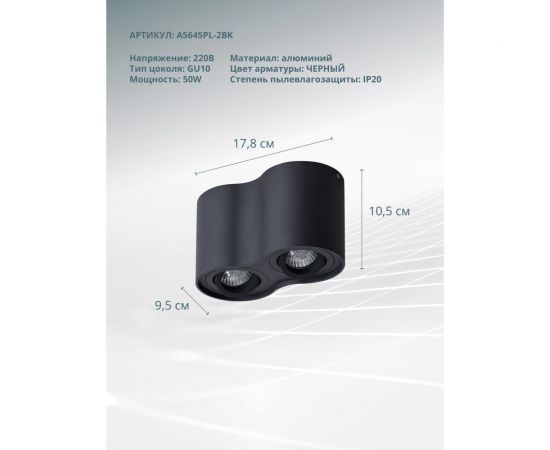 Потолочный светильник Arte Lamp FALCON A5645PL-2BK – изображение 4